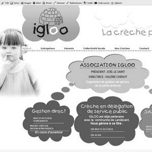 BREIZH IGLOO PROJET MYSQL SUR MESURE