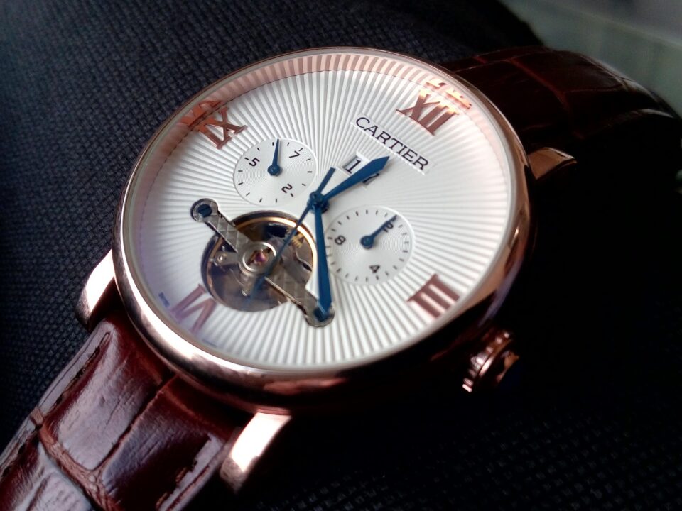 montres sentinelles du web