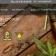 présentation de cbd