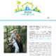 ecole chien chat